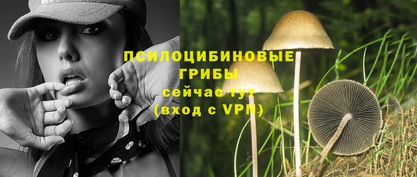 прущие крисы Михайловка