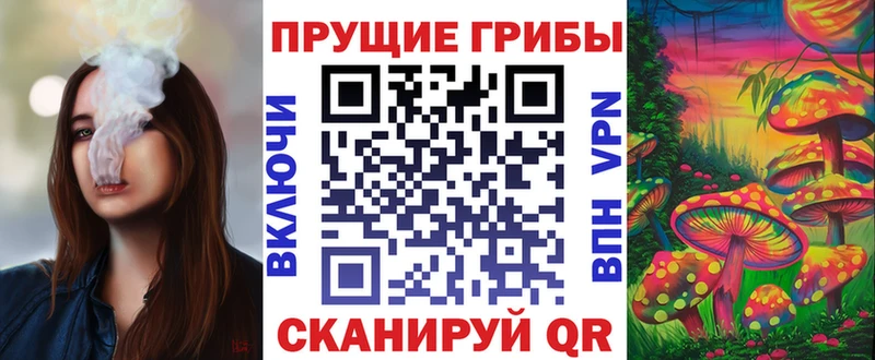 ссылка на мегу ONION  Далматово  Псилоцибиновые грибы Cubensis 